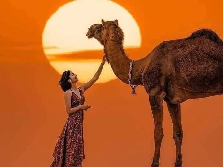 Om Luxury Resort Jaisalmer Esterno foto